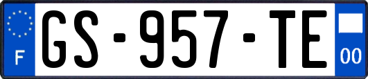 GS-957-TE