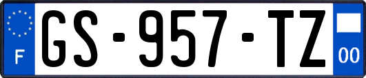 GS-957-TZ