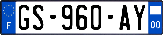 GS-960-AY