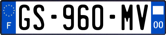 GS-960-MV