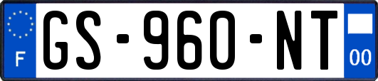 GS-960-NT