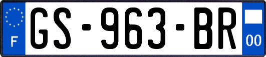 GS-963-BR