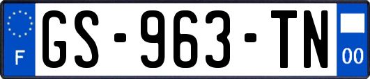 GS-963-TN