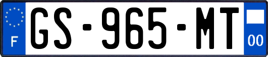 GS-965-MT