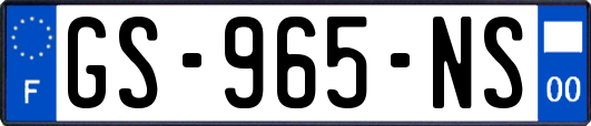 GS-965-NS