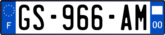 GS-966-AM