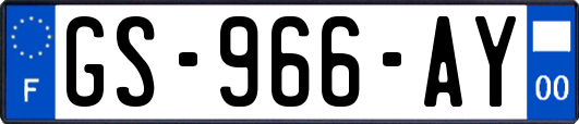 GS-966-AY