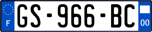 GS-966-BC