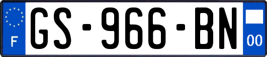 GS-966-BN