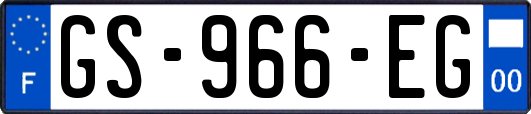 GS-966-EG