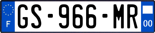 GS-966-MR