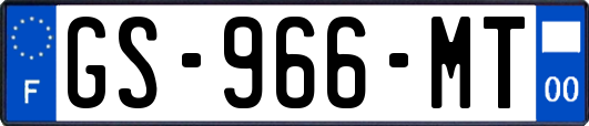 GS-966-MT