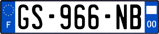 GS-966-NB