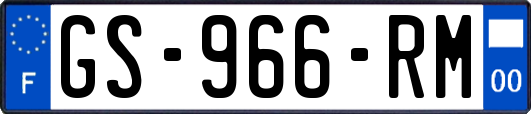 GS-966-RM