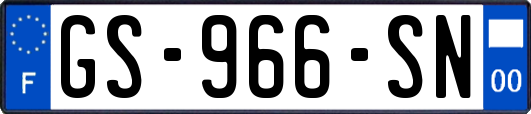 GS-966-SN
