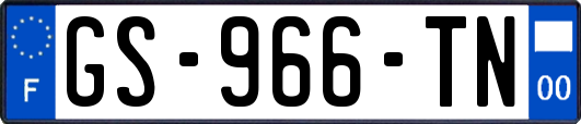 GS-966-TN