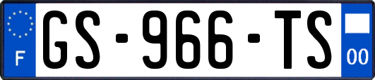 GS-966-TS