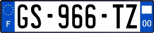 GS-966-TZ
