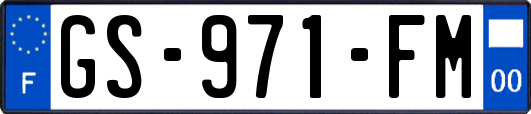 GS-971-FM
