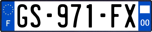 GS-971-FX