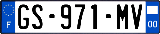 GS-971-MV