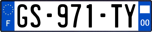 GS-971-TY