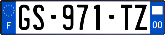 GS-971-TZ