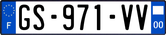GS-971-VV