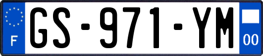 GS-971-YM