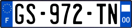 GS-972-TN