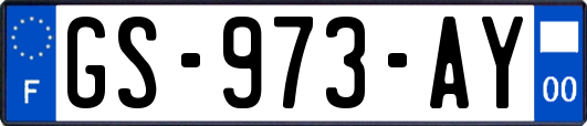 GS-973-AY