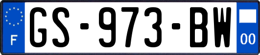 GS-973-BW