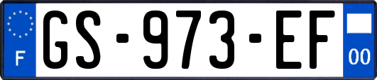 GS-973-EF