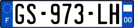 GS-973-LH