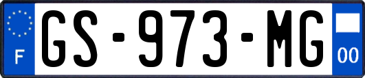 GS-973-MG