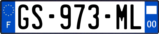 GS-973-ML