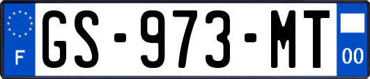 GS-973-MT