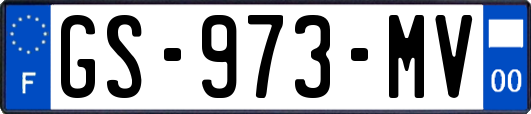 GS-973-MV