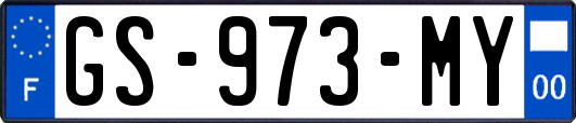 GS-973-MY