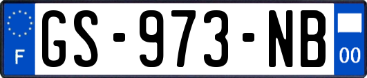 GS-973-NB