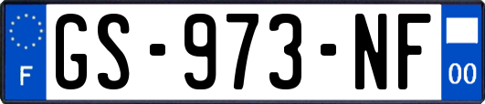 GS-973-NF