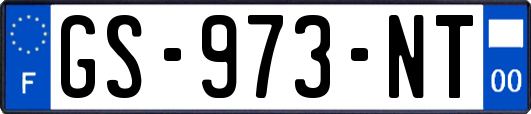 GS-973-NT