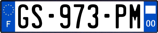 GS-973-PM