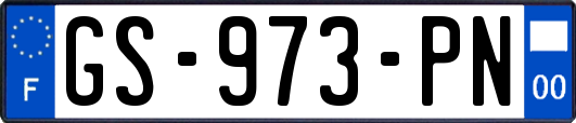 GS-973-PN