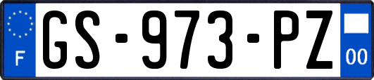 GS-973-PZ