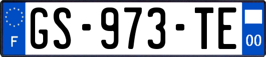 GS-973-TE