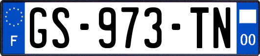 GS-973-TN