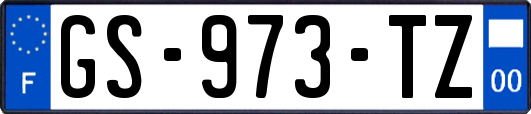 GS-973-TZ