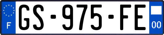 GS-975-FE