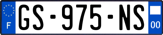 GS-975-NS
